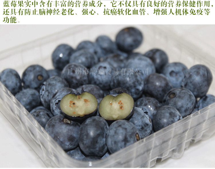 预售美国/智利蓝莓鲜果 进口新鲜水果 热卖产品约3斤