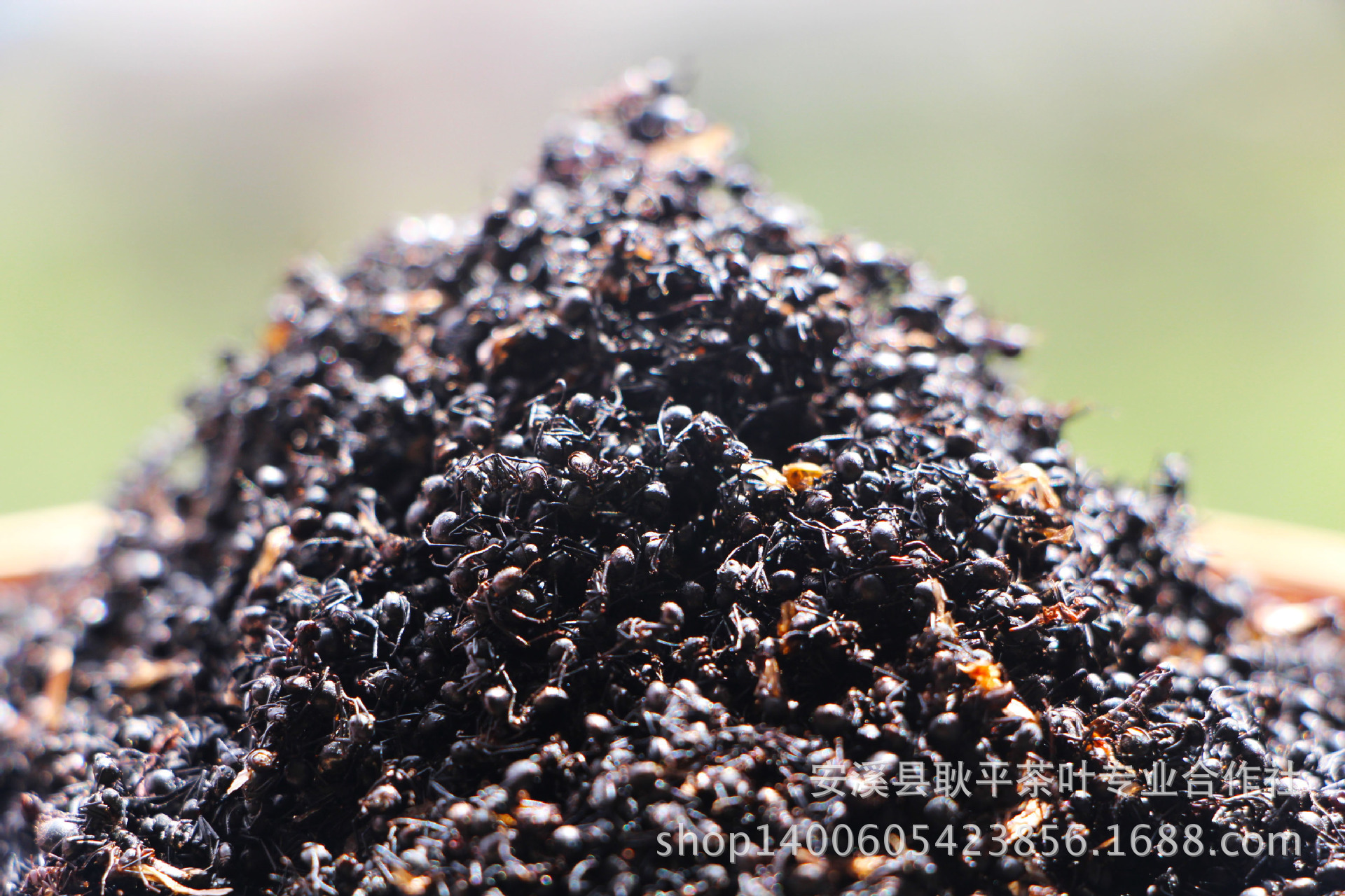 1039729267_260890943