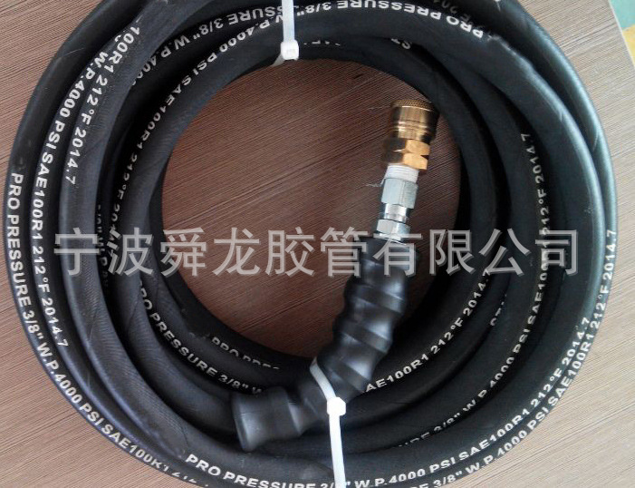 GR1SN-06 Washer hose