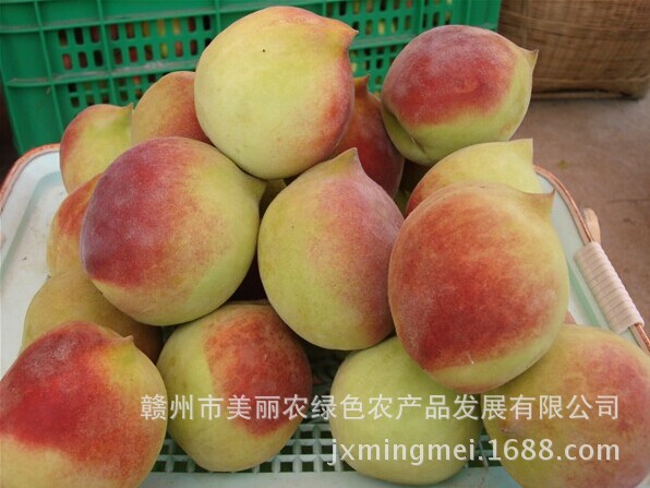 QQ图片20140703153551