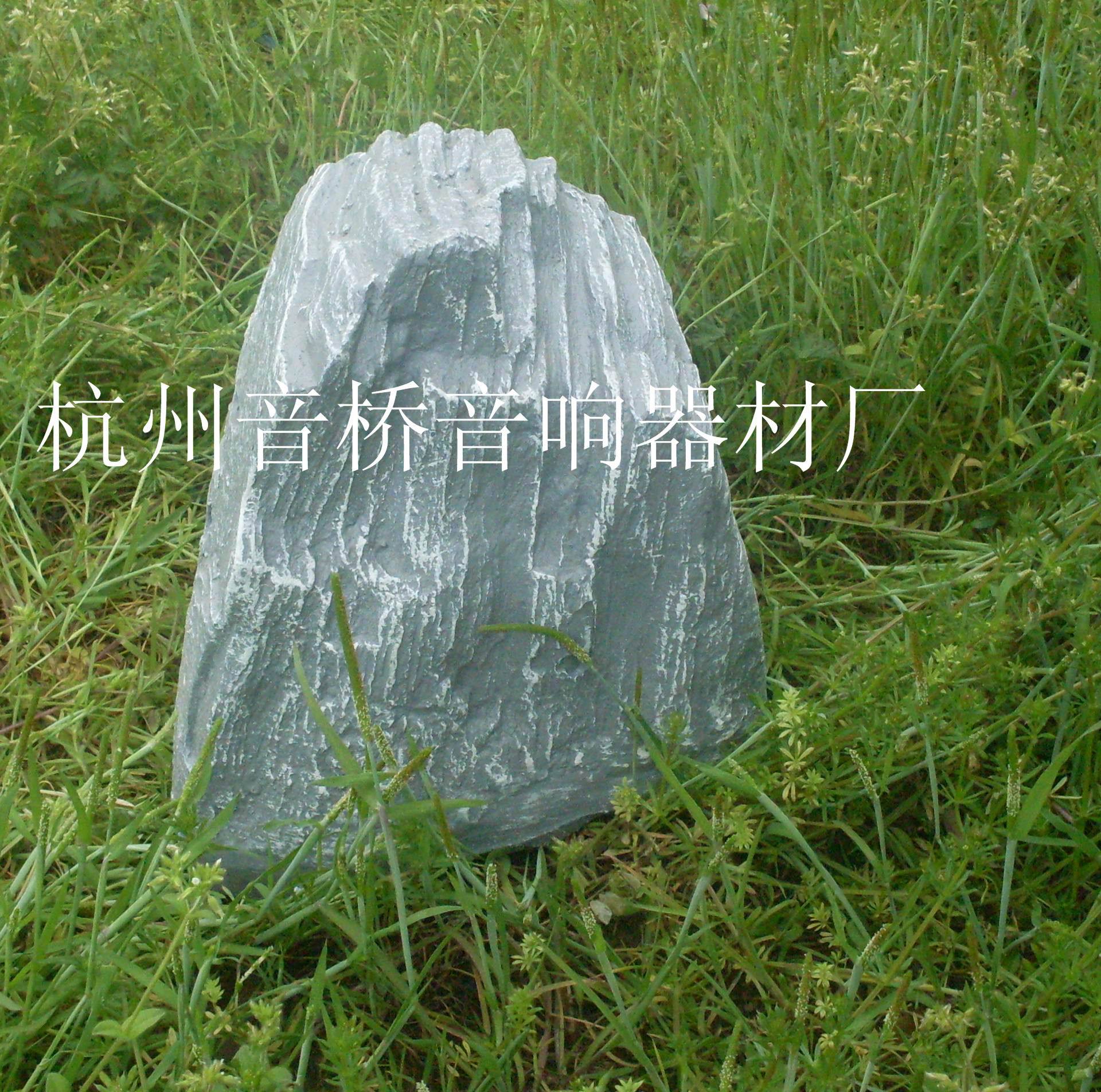 SDC12803