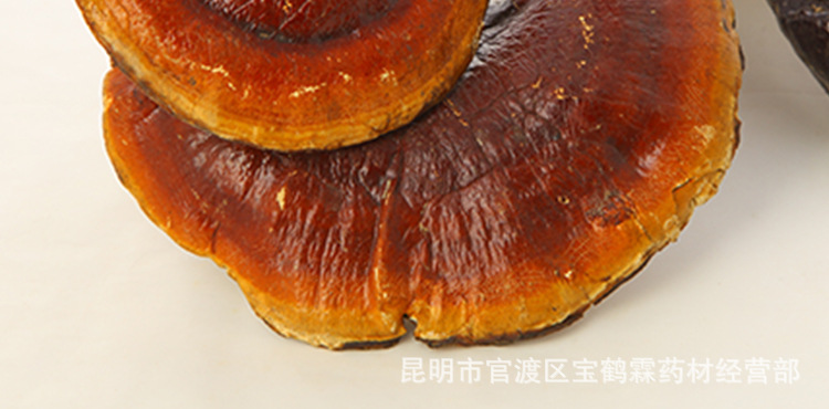 优质云南野生植物原药材 金边灵芝 保肝护肾