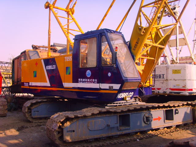 SNV31865