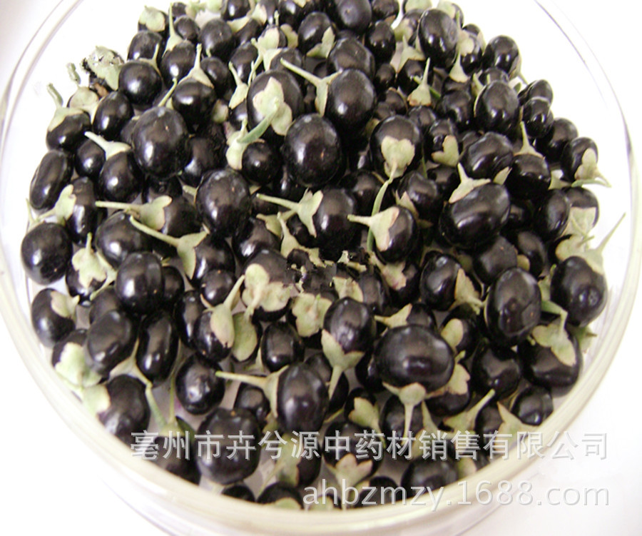 黑枸杞 青海特产黑枸杞 野生黑枸杞 柴达木黑枸