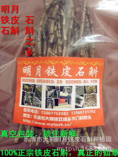 铁皮石斛鲜条 不带叶 浙江明月铁皮鲜条枫斗 新鲜采摘280元/500g