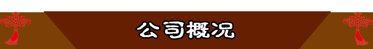 公司概况