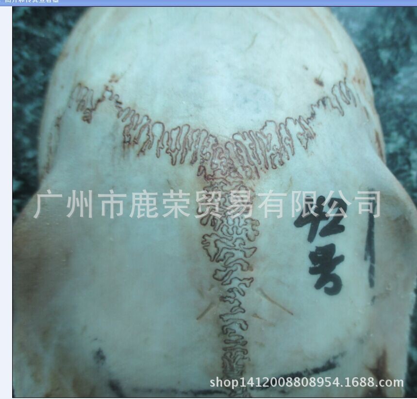 QQ图片20141110143809