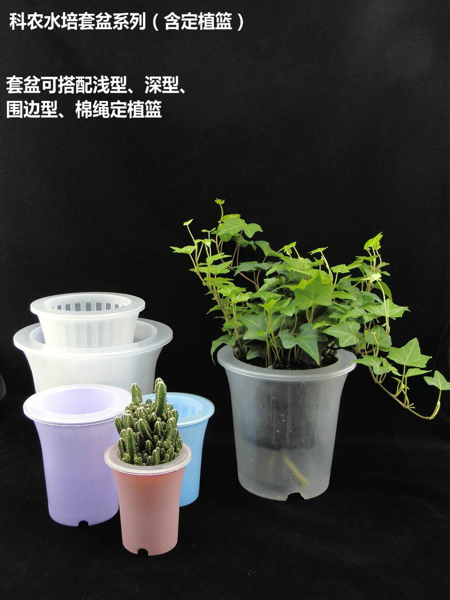 价低质优 原厂直销 引领全新水培植物的趋势 一个套盆(含定植篮)单价