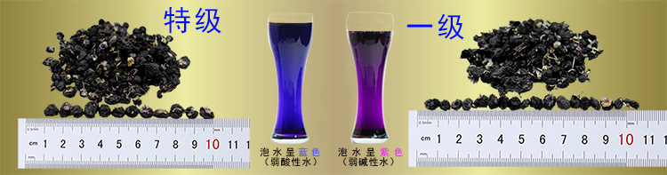 黑枸杞