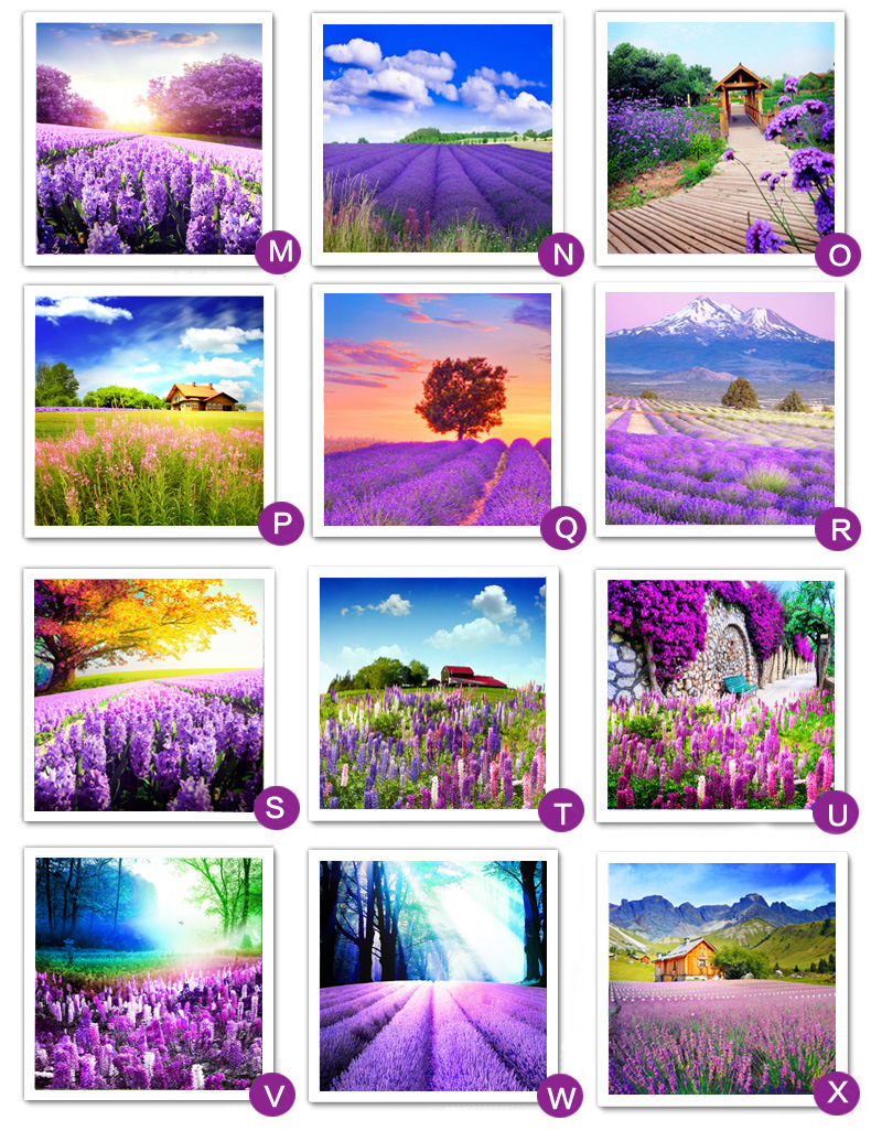 TB2bu7EXVXXXXbpXXXXXXXXXXXX-30