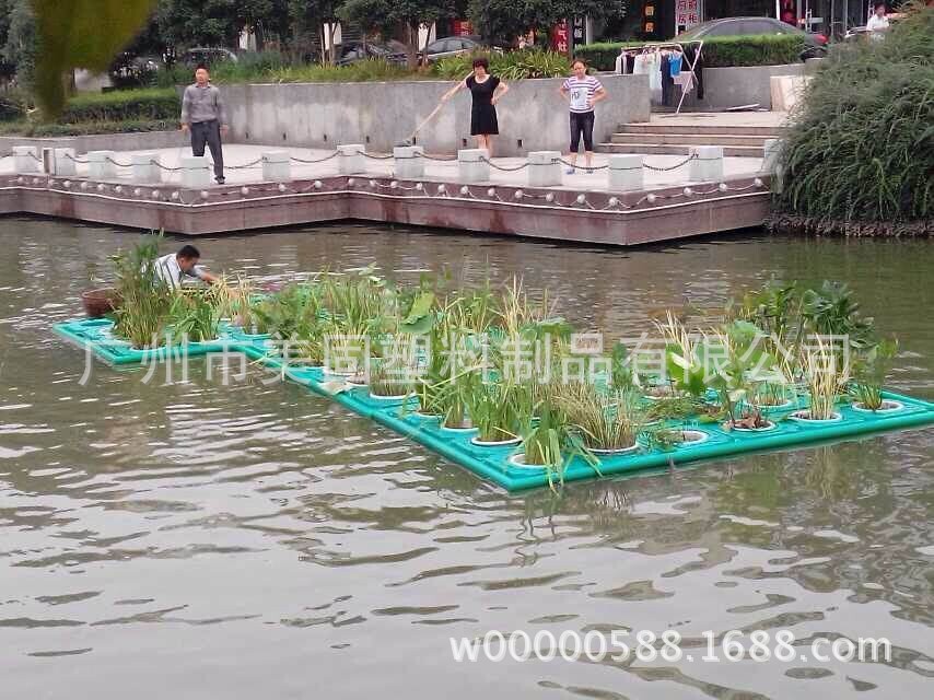 水生植物浮床 种植浮床 生物浮床 植物浮床 人工浮床