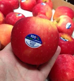 【快果莱】批发新鲜进口水果美国红玫瑰苹果新鲜进口苹果批发代理