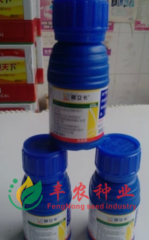 先正达 阿立卡(噻虫-高氯氟)50ml/蓟马白粉虱叶蝉蚜 杀虫剂