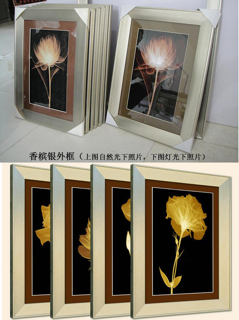 T2IOp3XstaXXXXXXXX_!!856690043