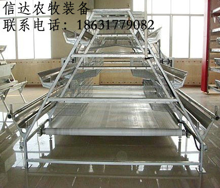 1113397051_763406836