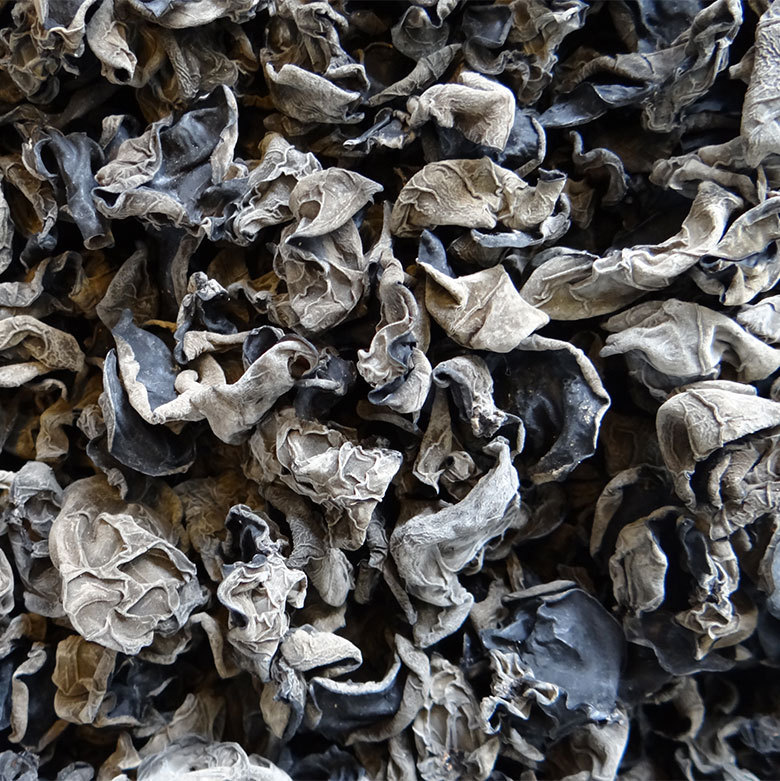 黑木耳产地直销 厂家批发黑木耳 东北椴木菌种