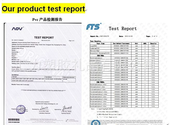 test report1