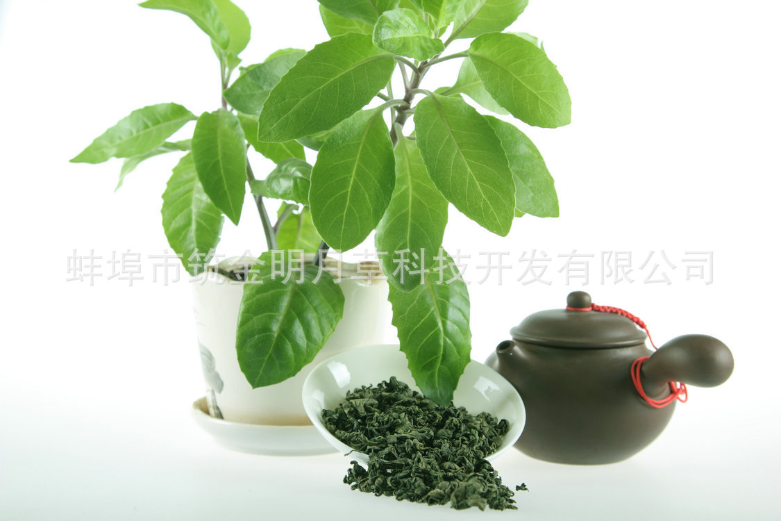 【热销推荐 降血脂降压茶 纯天然降脂降糖茶 明