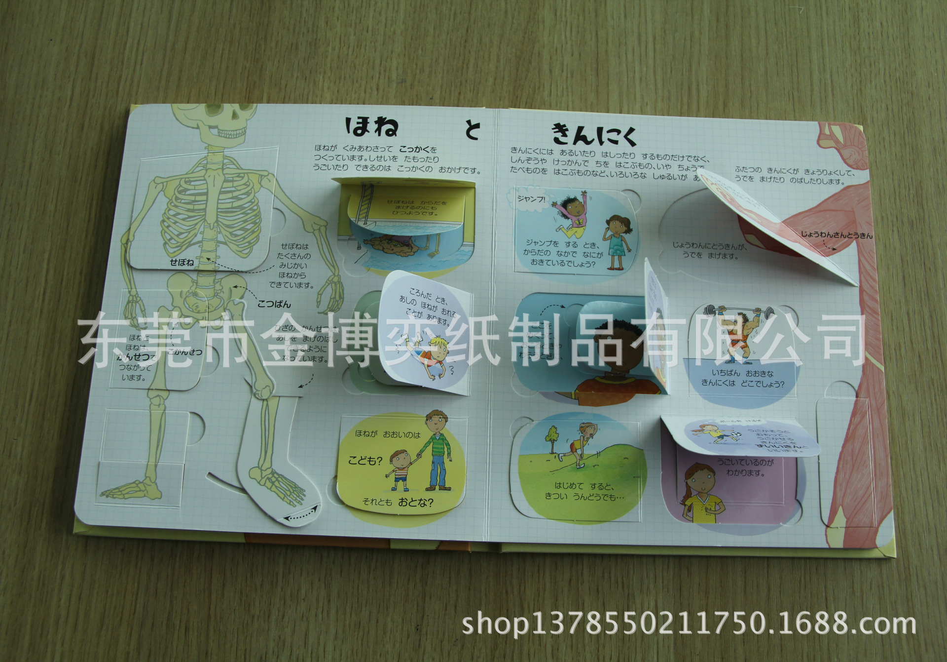 揭页书,翻翻书 31