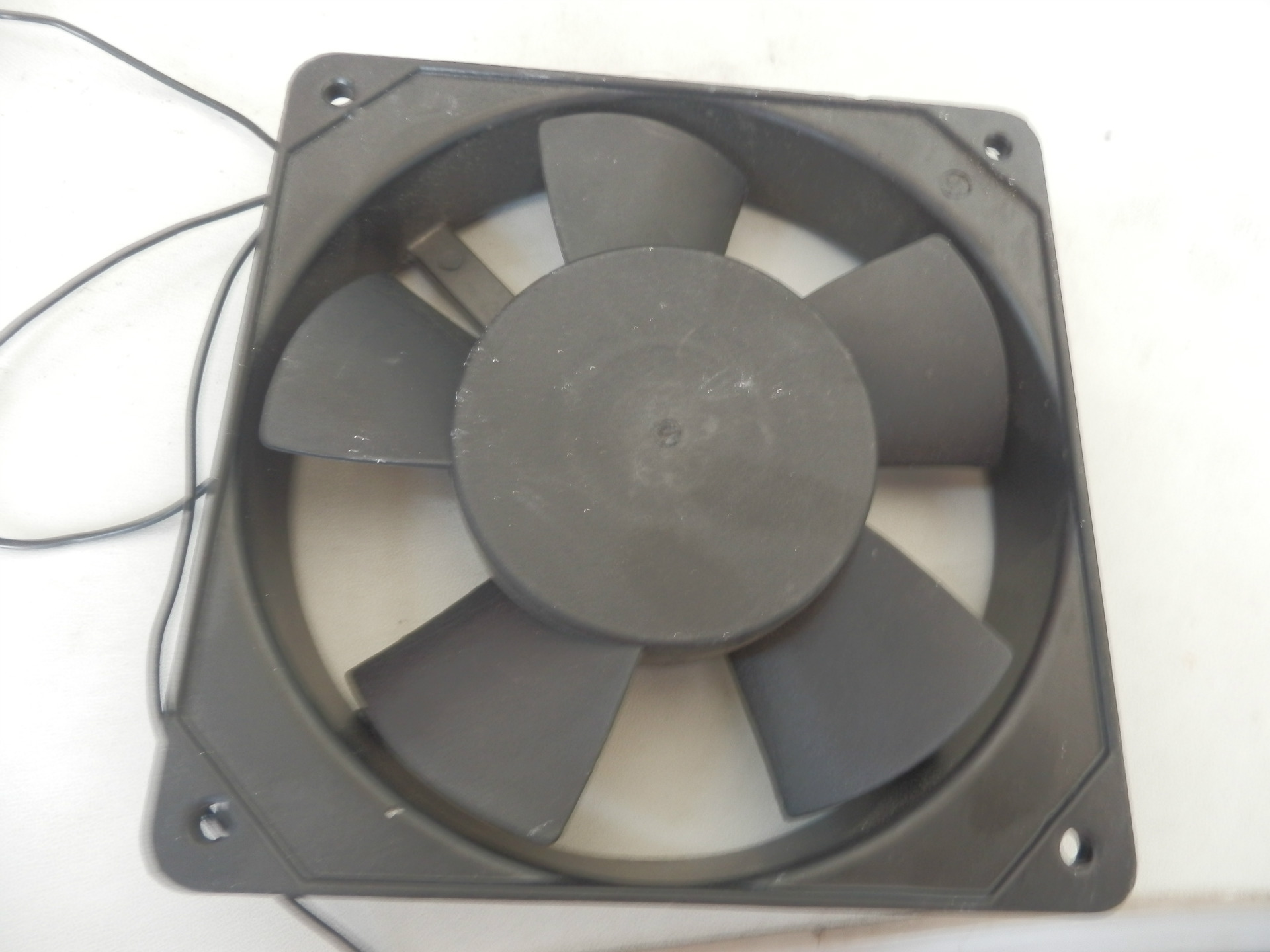 1133660184_2083169355