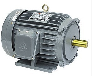 高崎电机 高效效率三相 卧式 ie3马达1/4hp-250hp