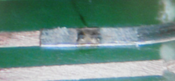 xiaoguo1
