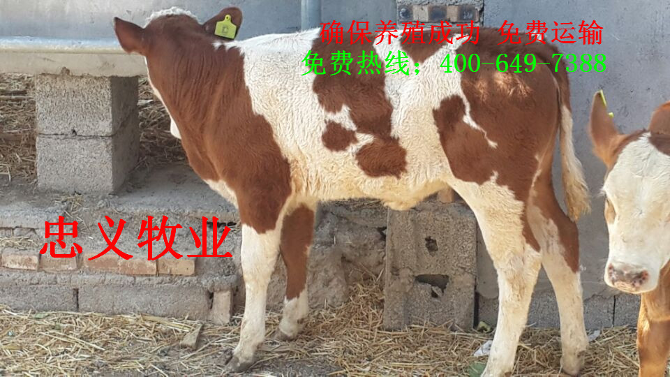 Cache_7889f752a8db599d
