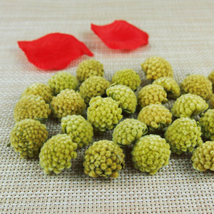 绿萝花批发
