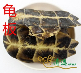 动物原药材-龟板 中药材 龟下甲 乌龟甲 按方抓