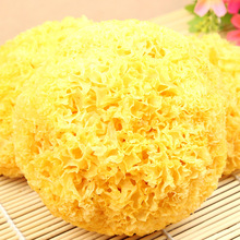 银木耳_银木耳价格_优质银木耳批发\/采购