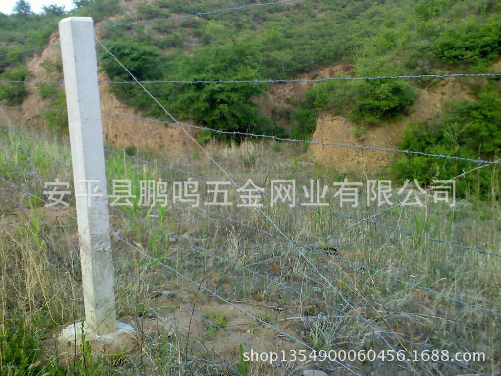 437782680_2006810146