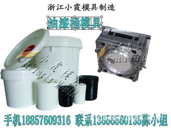 涂料桶模具 (364)