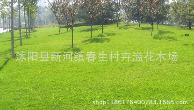 360截图20140302164944000_副本