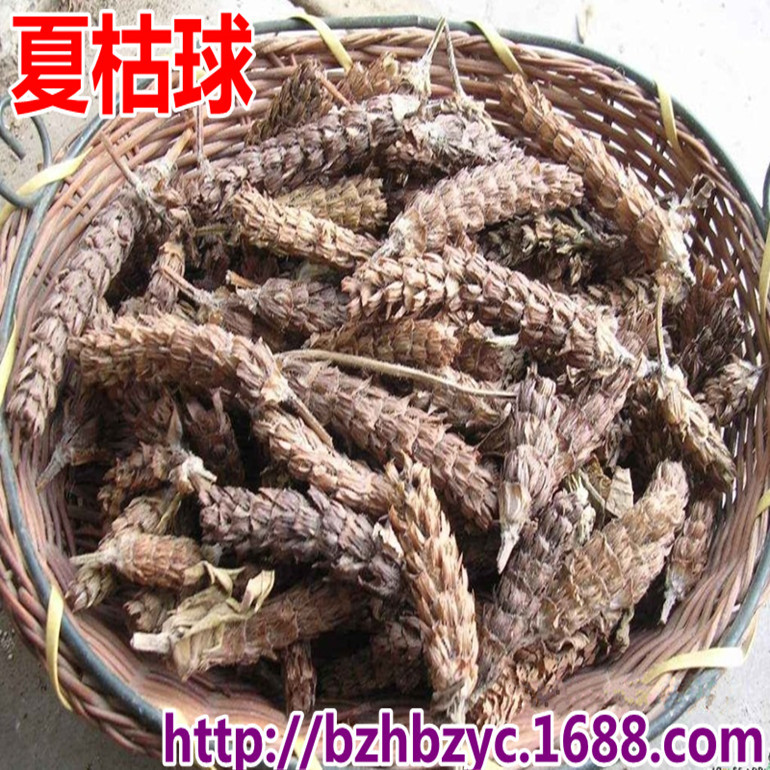 【诚信商家】 批发供应中药材 夏枯球 夏枯草 凉茶专用 量大从优 图片_高清大图 - 阿里巴巴