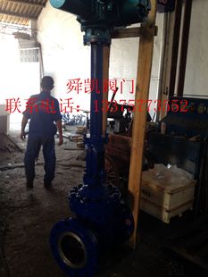 【厂家供应】电站阀  加长杆电动闸阀Z941