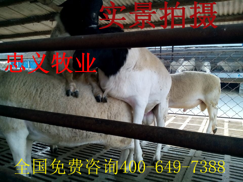 QQ图片20141109170046