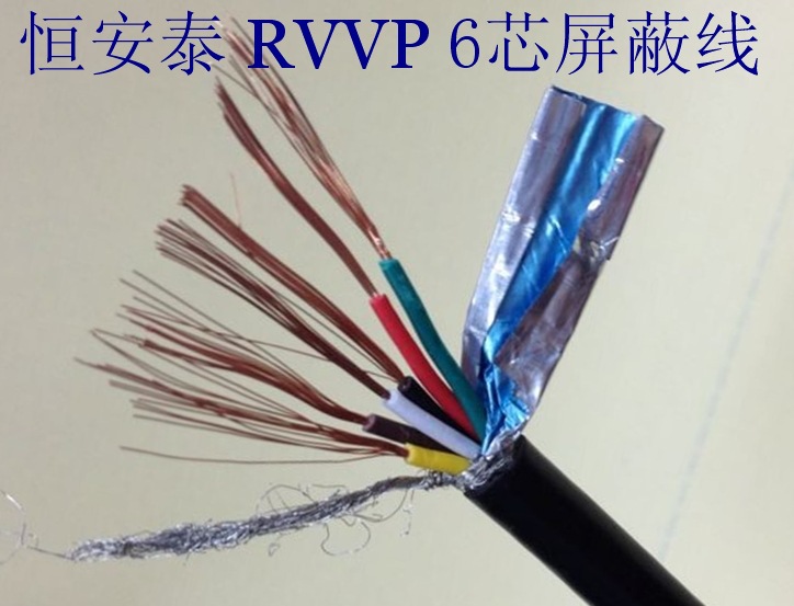RVVP6