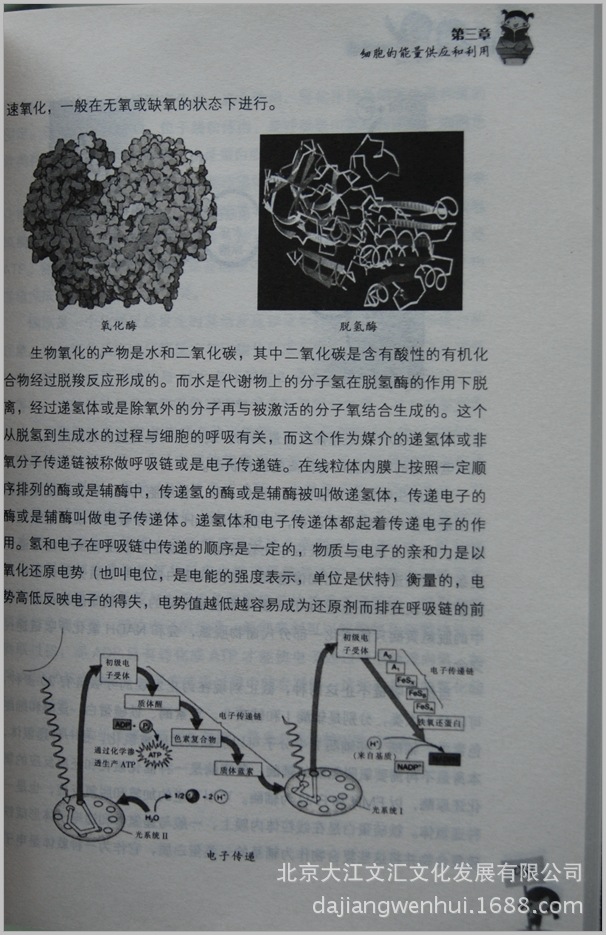 书籍-图书批发 青少年课外魔方书 班主任推荐读