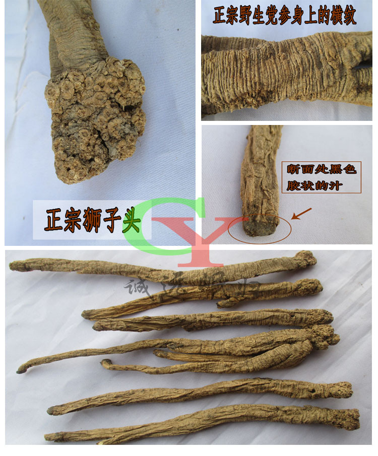 党参综合