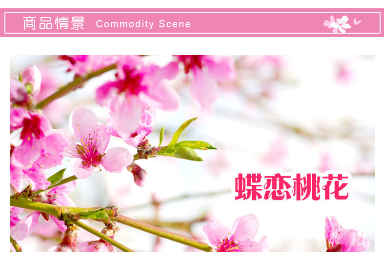 墙贴-冬梅腊梅花墙贴 客厅电视背景墙沙发卧室