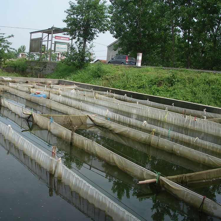 鲤鱼苗-框鲤鱼苗--阿里巴巴采购平台求购产品详