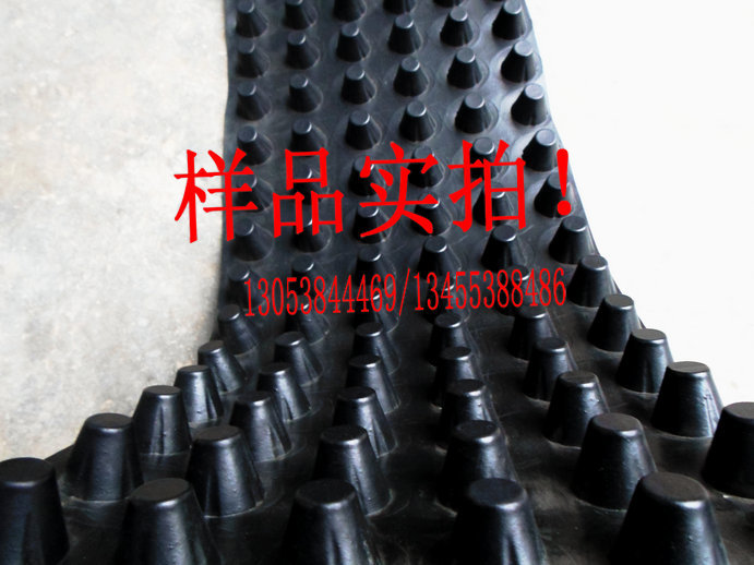SAM_0550