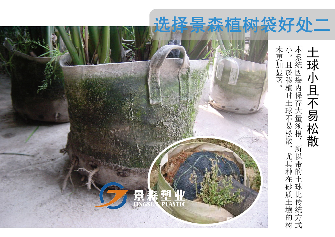 阳台种植加厚无纺布美植袋 苗场育苗普通型植树袋 种植袋营养袋