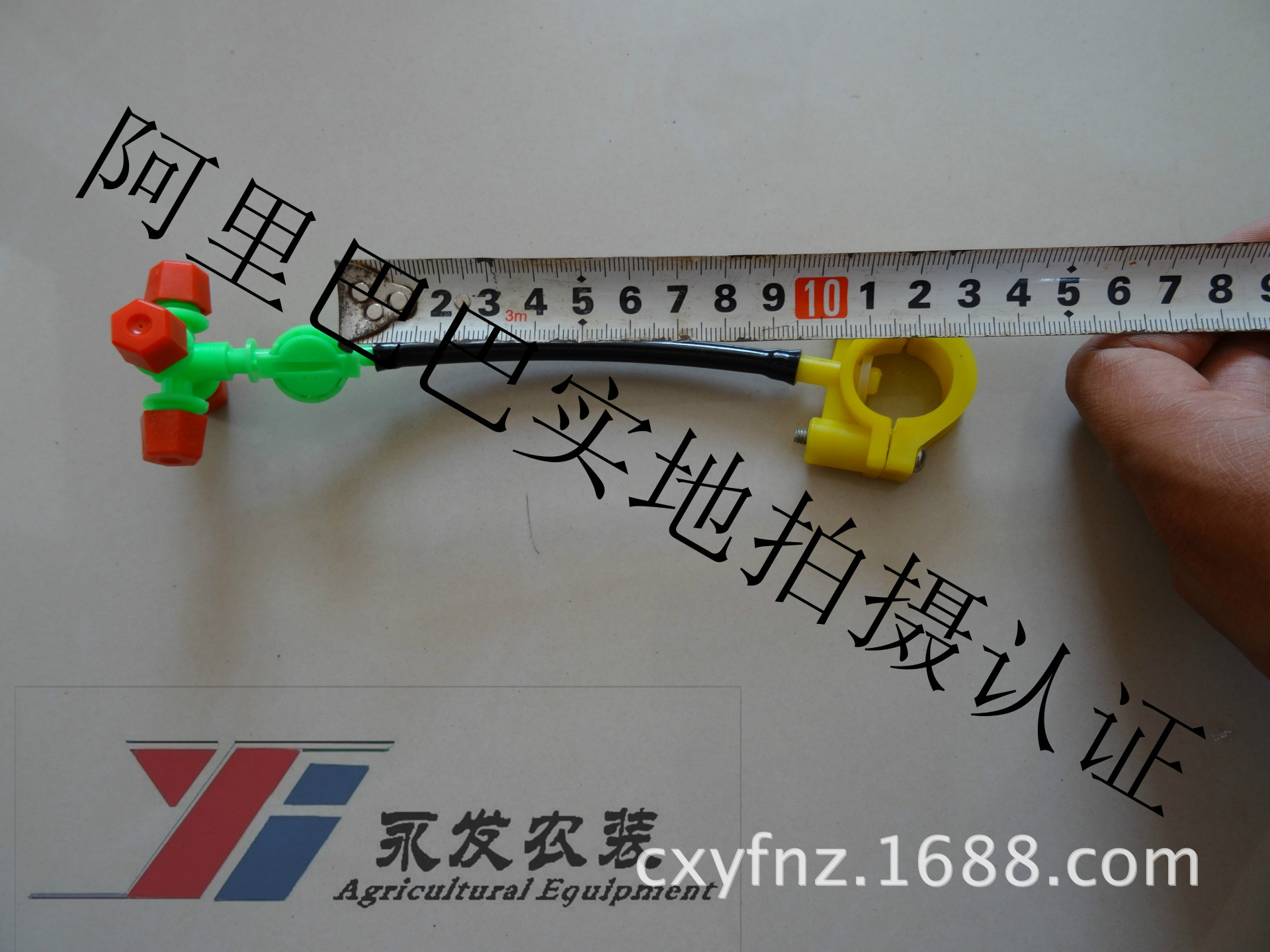 DSC00420