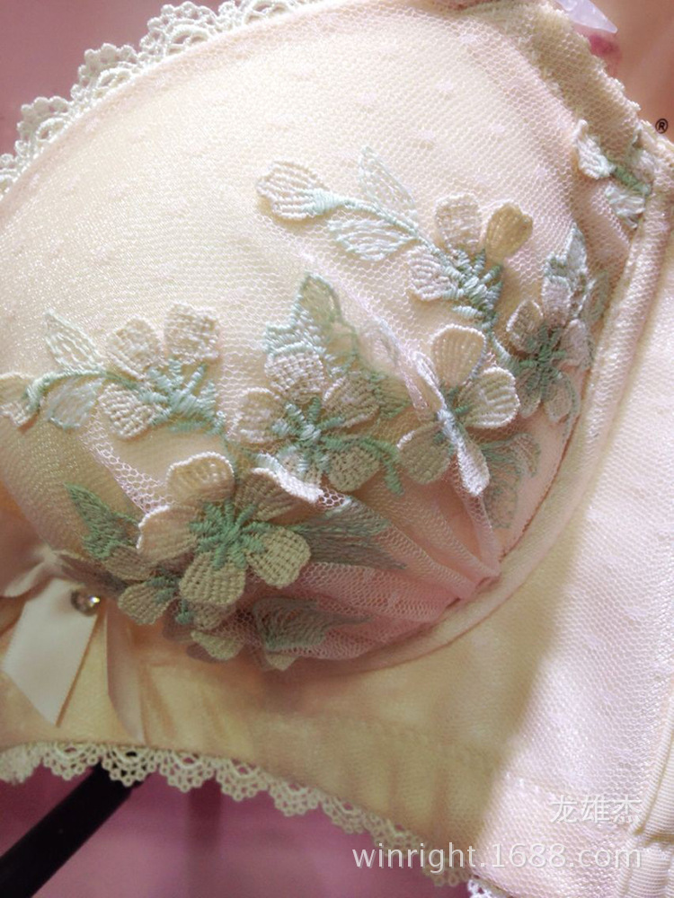 <em>文胸</em>-甜美舒新款 3D<em>立体刺绣花朵</em>少女<em>文胸套装</em>