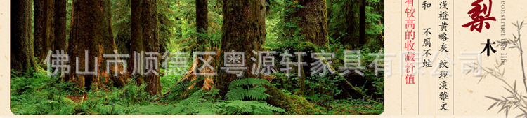 花梨木太师椅_14