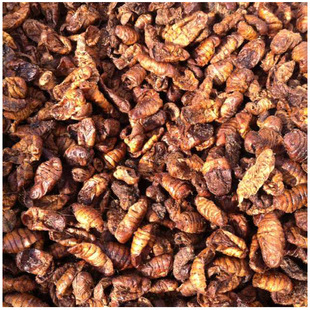 动物性饲料-厂家批发 香味能量饲料原料 高蛋白