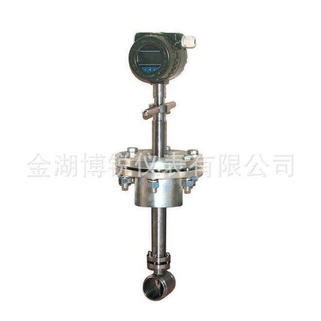 插入式涡街流量计压缩空气流量计现场显示型厂价直销-g