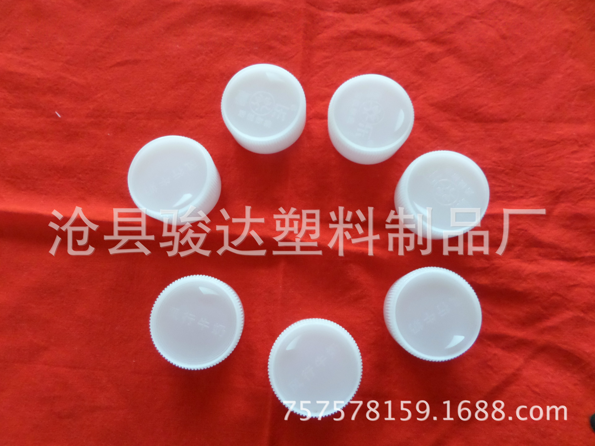 SAM_0704