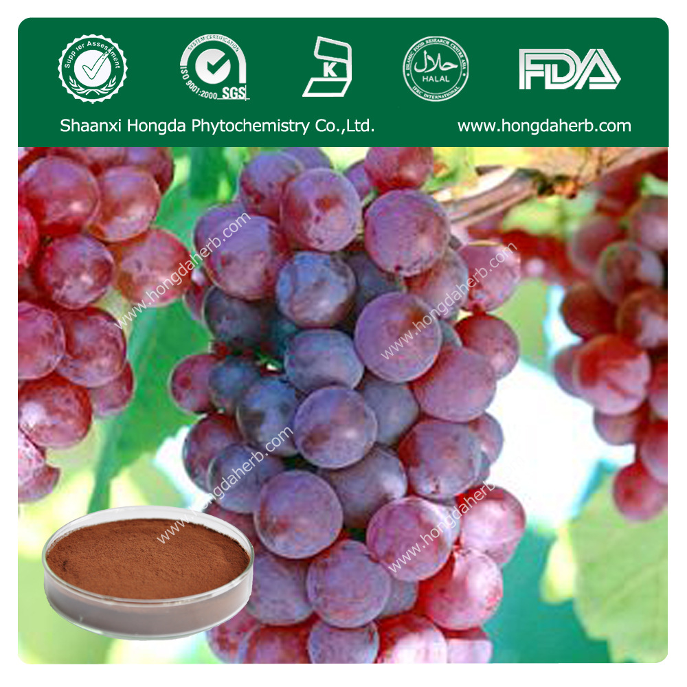 葡萄皮提取物 图片_高清大图 - 阿里巴巴